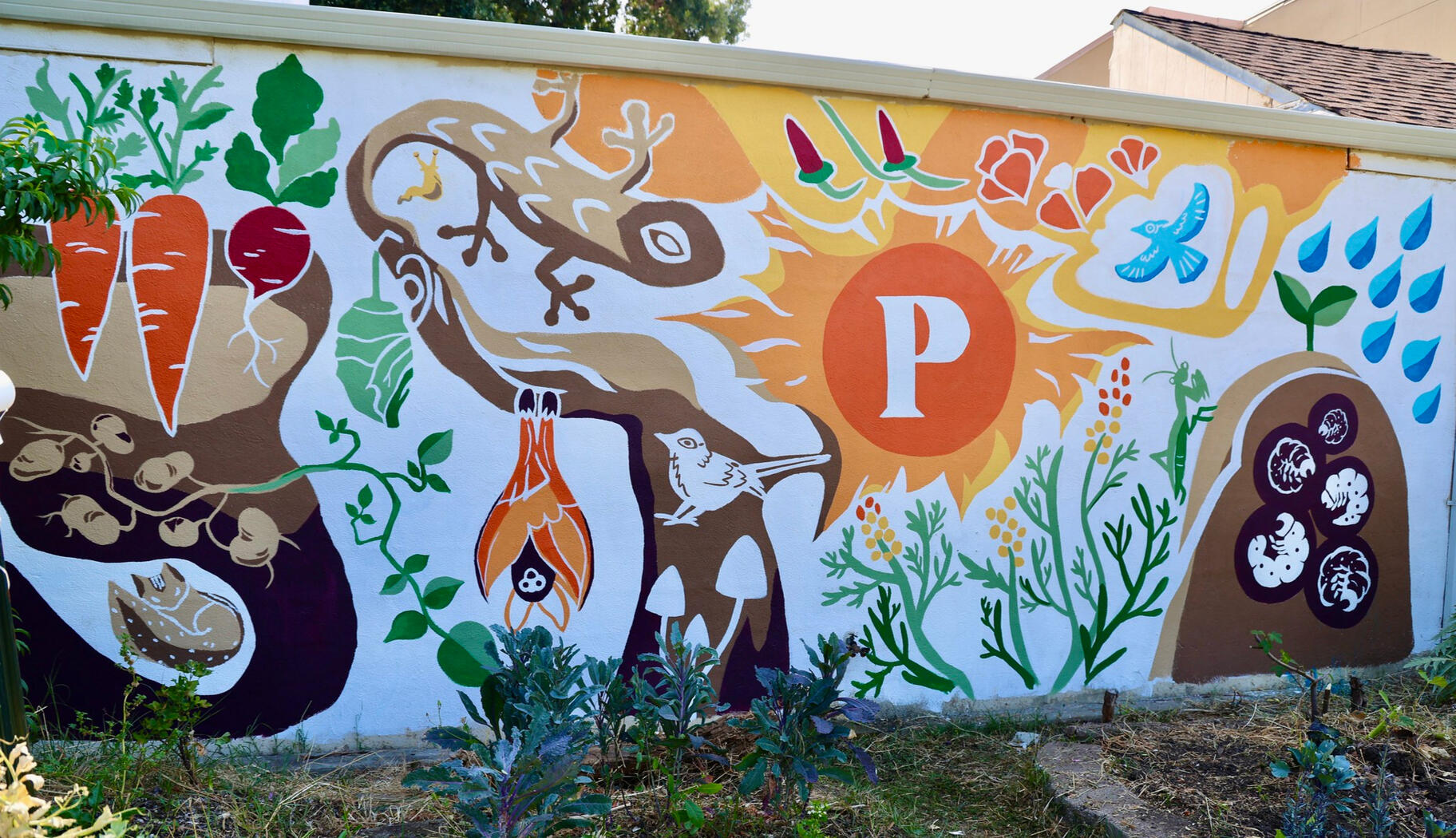 McGeorge school of law Garden